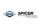 Dana logo